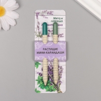 Растущие подарочные карандаши mini "Мята + Лаванда" набор 2 шт. Растущие подарочные карандаши mini "Мята + Лаванда" набор 2 шт.