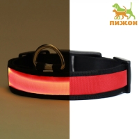 Ошейник с подсветкой Flash 3 режима свечения размер L, ОШ 45-52 х 2,5 см красный Ошейник с подсветкой Flash 3 режима свечения размер L, ОШ 45-52 х 2,5 см красный