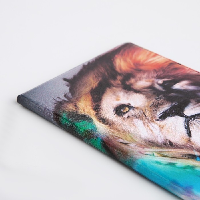 Обложка для паспорта, цвет разноцветный