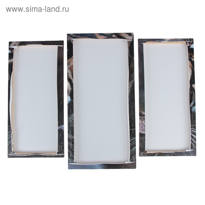 Модульная картина "Тигровый взгляд"  (2-25х52; 1-30х60) 60х80 см