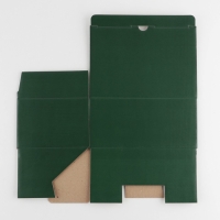 Коробка подарочная складная, упаковка, &laquo;Зелёная&raquo;, 22 х 15 х 10 см