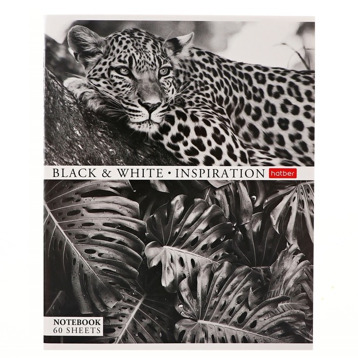 Тетрадь 60 листов в клетку Тетрадь 60 листов в клетку "Вдохновение", обложка мелованный картон, блок офсет 65г/м2