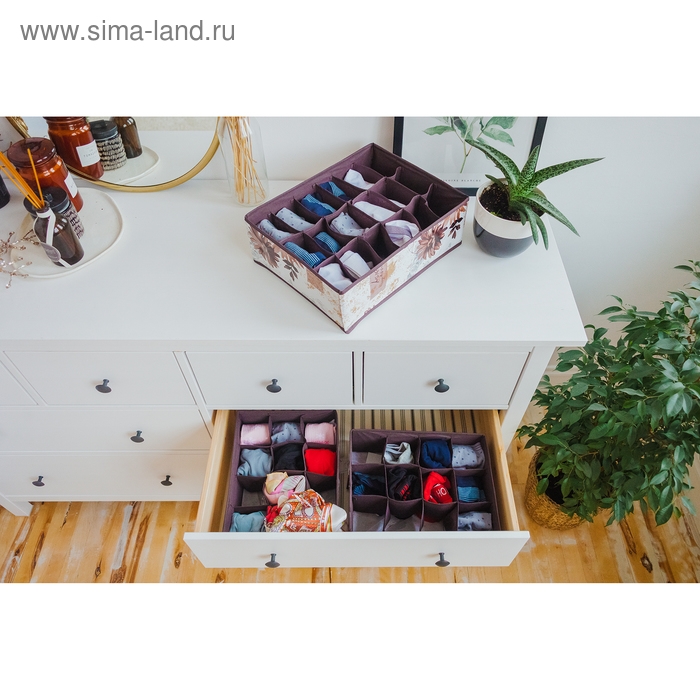 Органайзер для хранения белья Доляна &laquo;Астра&raquo;, 16 ячеек, 36&times;28&times;12 см, цвет МИКС