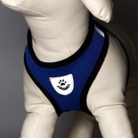 Комплект амуниции с мягкой шлейкой и светоотражающей нашивкой, L, ОШ 33 см, ОГ 36-48 см, синий 76143 Комплект амуниции с мягкой шлейкой и светоотражающей нашивкой, L, ОШ 33 см, ОГ 36-48 см, синий 76143