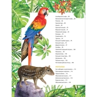 Энциклопедия &laquo;Удивительные животные&raquo;