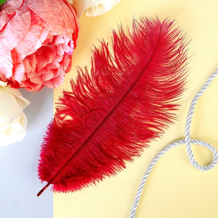 Перо для декора 1 шт., размер 24 см, цвет бордовый Перо для декора 1 шт., размер 24 см, цвет бордовый