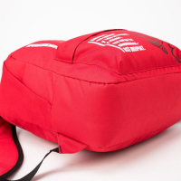 Рюкзак &laquo;Герб&raquo;, 31х13х41, отд на молнии, н/карман, красный