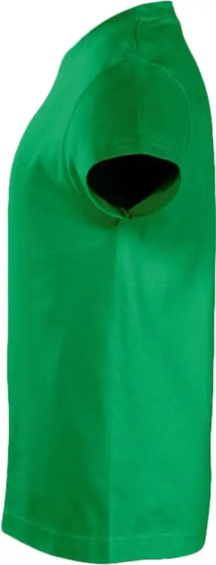 Футболка детская Imperial Kids ярко-зеленая, на рост 96-104 см (4 года) Футболка детская Imperial Kids ярко-зеленая, на рост 96-104 см (4 года)