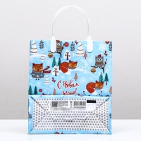 Новый год. Пакет "Холодок", мягкий пластик, 22,5 х 25,5 см. Новый год. Пакет "Холодок", мягкий пластик, 22,5 х 25,5 см.