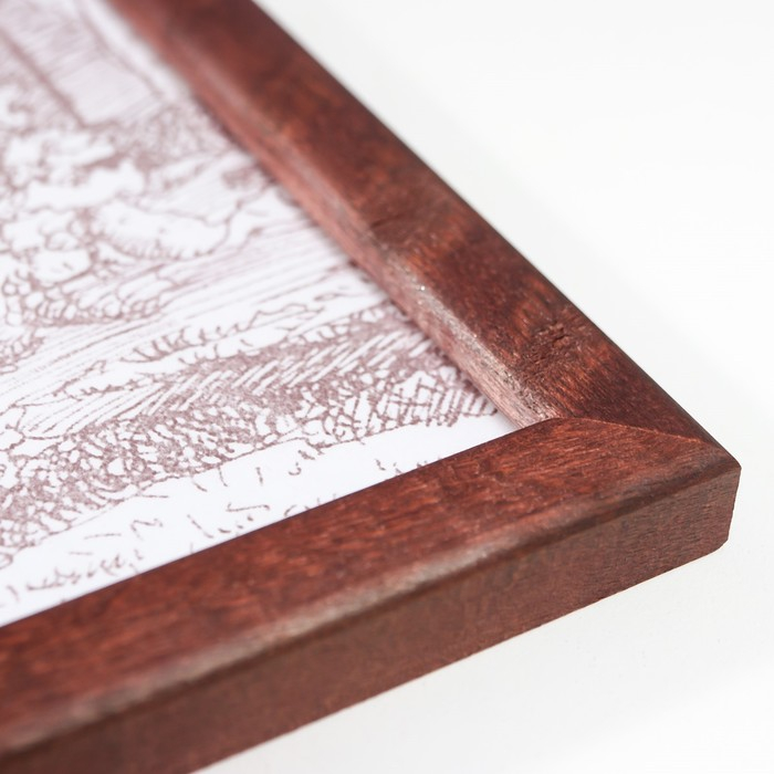 Фоторамка сосна с14 01/6 венге 25х35 см (пластиковый экран)