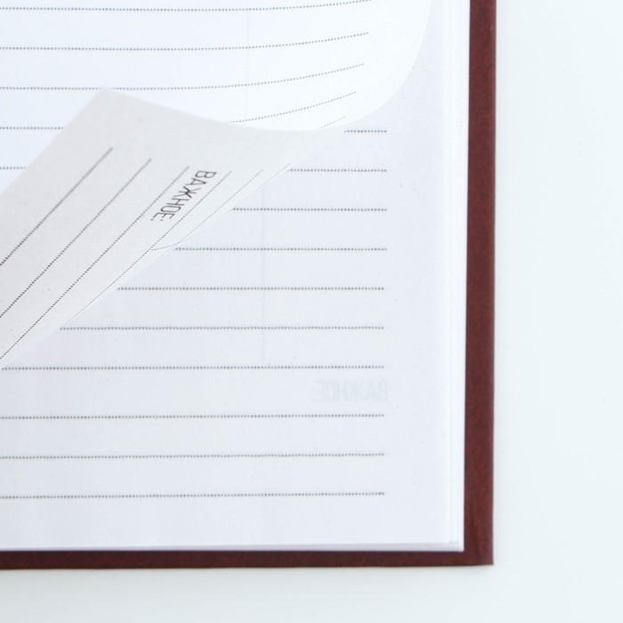 Ежедневник в твердой обложке А5, 80 листов "Редкий вид"