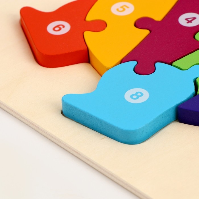 Рамка-вкладыш &laquo;Дракоша&raquo;, 10 элементов, 22 &times; 18 &times; 0,9 см