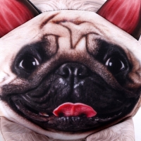 Антистресс подушка, собака &laquo;Мопс&raquo;