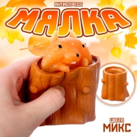 Мялка &laquo;Пенек с белочкой&raquo;, цвета МИКС