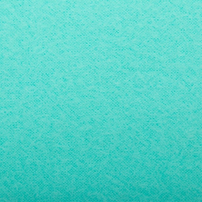 Плед Экономь и Я Мятный 75*100 см, пл.160 г/м2, 100% п/э