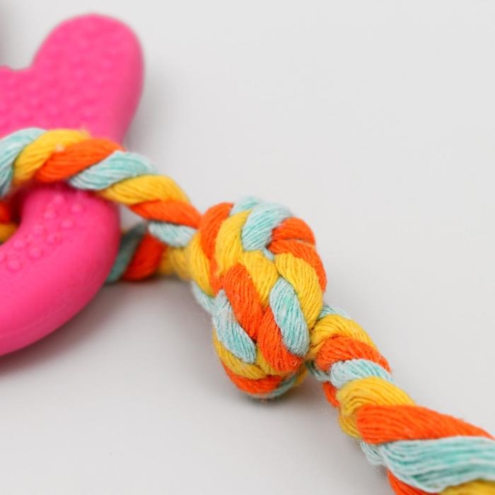 Игрушка жевательная с канатом для собак Игрушка жевательная с канатом для собак "Ладошка", 10 см, розовая