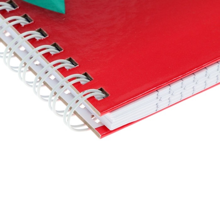 Колледж -тетрадь А4, 96 листов в клетку на гребне Колледж -тетрадь А4, 96 листов в клетку на гребне "Яркий орнамент", твёрдая обложка, глянцевая ламинация, блок офсет