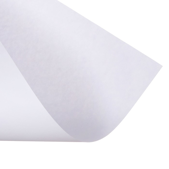 Набор 3л ватман чертежный А0 (840х1189) 160г/м2 ВА0