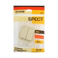 Выключатель двухклавишный открытой установки, 250В, 6А, IP20, слоновая кость, PSW06-22-20 ( 1022743 Выключатель двухклавишный открытой установки, 250В, 6А, IP20, слоновая кость, PSW06-22-20 ( 1022743