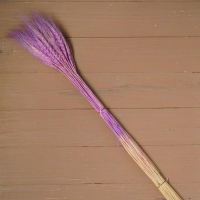 Сухой колос пшеницы, набор 50 шт., цвет фиолетовый Сухой колос пшеницы, набор 50 шт., цвет фиолетовый