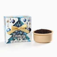 Чай чёрный, в коробке - шкатулке, с чабрецом &laquo;С новым годом: синяя ель&raquo;, 20 г.