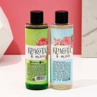 Подарочный набор косметики &laquo;Время сиять&raquo;, гель для душа 200 мл и шампунь для волос 200 мл, ЧИСТОЕ СЧАСТЬЕ