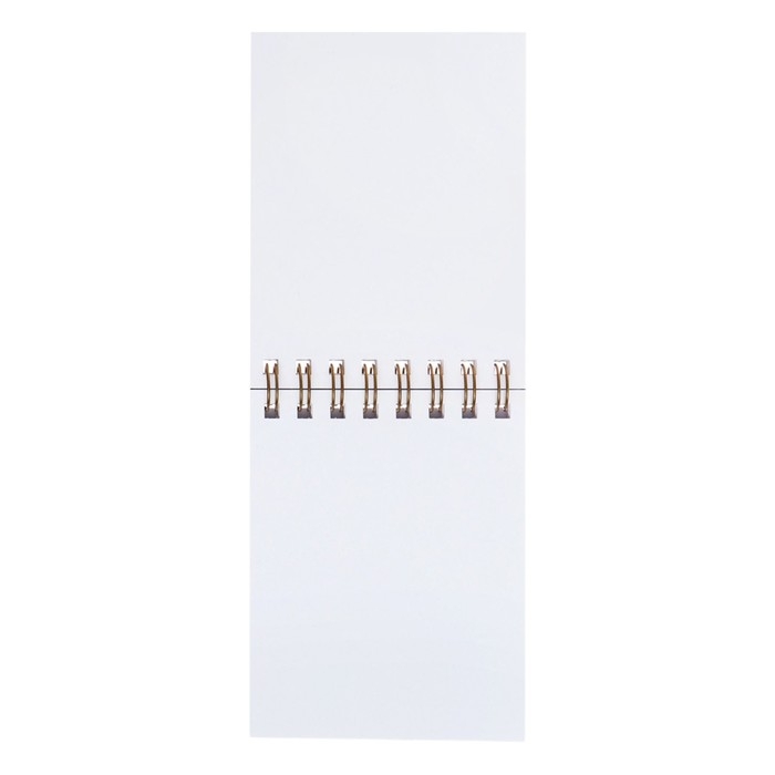 Скетчбук А6, 80 листов на гребне по короткой стороне "Кеды", твёрдая обложка, блок 100 г/м&sup2;