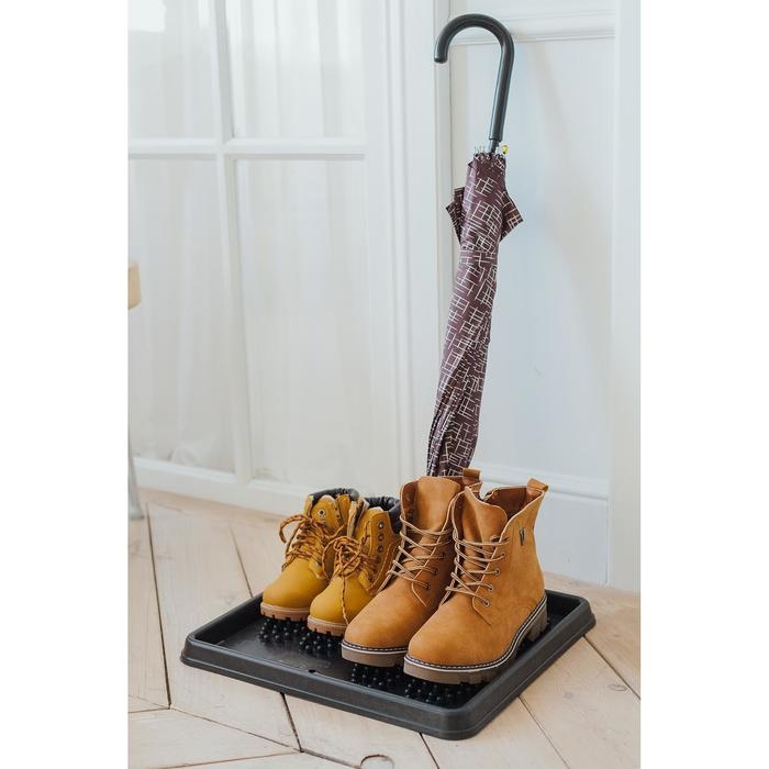 Лоток для обуви, 43,5&times;39 см, цвет чёрный