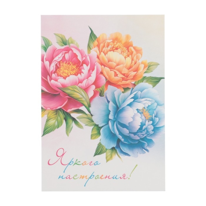 Набор мини-открыток Набор мини-открыток "Цветы" 7,6 х 10,6 см