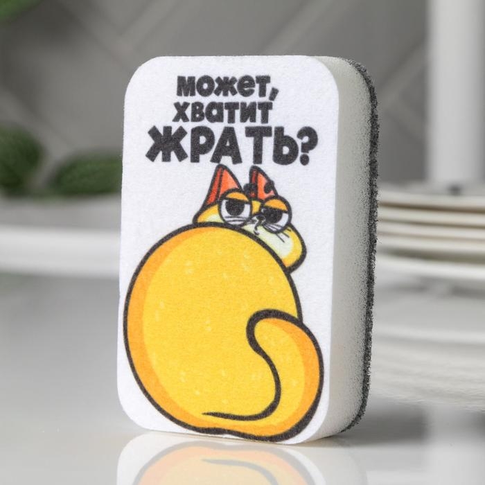 Губка поролоновая &laquo;Может хватит жрать?&raquo; 9х6 см