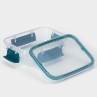 Контейнер герметичный пластиковый Butterfly bright, 500 мл, прозрачный, крышка МИКС Контейнер герметичный пластиковый Butterfly bright, 500 мл, прозрачный, крышка МИКС