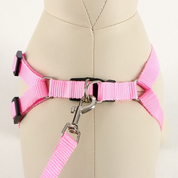 Комплект Комплект "Базис", поводок 120 х 1,5 см, шлейка 32-46 х 1,5 см, розовый