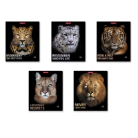 Тетрадь 48 листов в клетку, ErichKrause Strong and Brave, обложка мелованный картон, матовая ламинация, блок офсет 100% белизна, МИКС (1 вид в спайке) Тетрадь 48 листов в клетку, ErichKrause Strong and Brave, обложка мелованный картон, матовая ламинация, блок офсет 100% белизна, МИКС (1 вид в спайке)