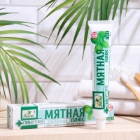 Зубная паста Весна Главаптека "Мятная", 90 г, в пенале Зубная паста Весна Главаптека "Мятная", 90 г, в пенале