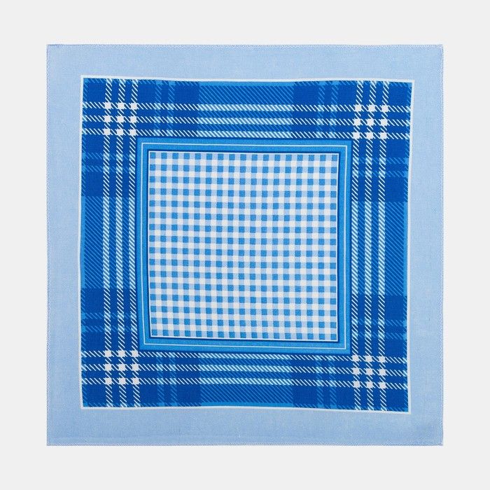 Платки носовые мужские Этель 30*30 см,(набор 12 шт,) цв.Голубой, рис. МИКС 100% хл Платки носовые мужские Этель 30*30 см,(набор 12 шт,) цв.Голубой, рис. МИКС 100% хл