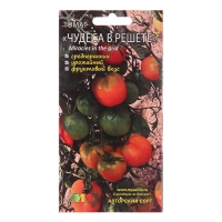 Семена Томат "Чудеса в решете" Семена Томат "Чудеса в решете"