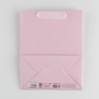 Пакет подарочный ламинированный, упаковка, «Розовый», MS 18 х 23 х 10 см Пакет подарочный ламинированный, упаковка, «Розовый», MS 18 х 23 х 10 см