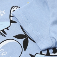 Футболка для мальчика, цвет голубой, рост 74 см Футболка для мальчика, цвет голубой, рост 74 см