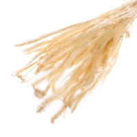 Сухоцвет &laquo;Щетинник&raquo;, белый, 30 - 50 г в упаковке