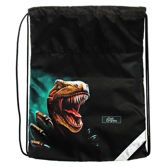 Рюкзак каркасный школьный, 39 х 28 х 18 см, + мешок для обуви, Calligrata П "Крутой дино", зелёный