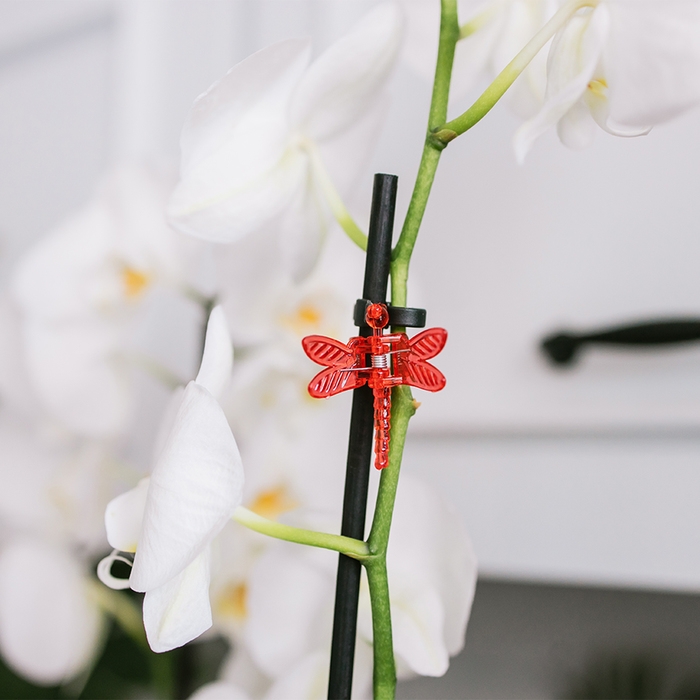 Клипса для растений «Стрекоза», набор 10 шт., МИКС, Greengo Клипса для растений «Стрекоза», набор 10 шт., МИКС, Greengo