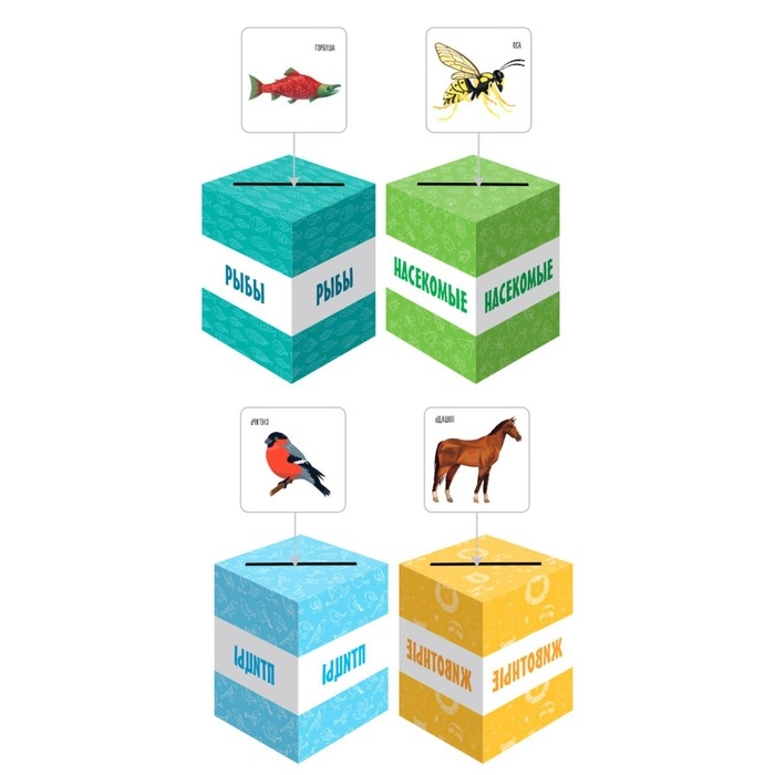 Развивающая игра &laquo;Умный сортёр. Животные, птицы, рыбы, насекомые&raquo;