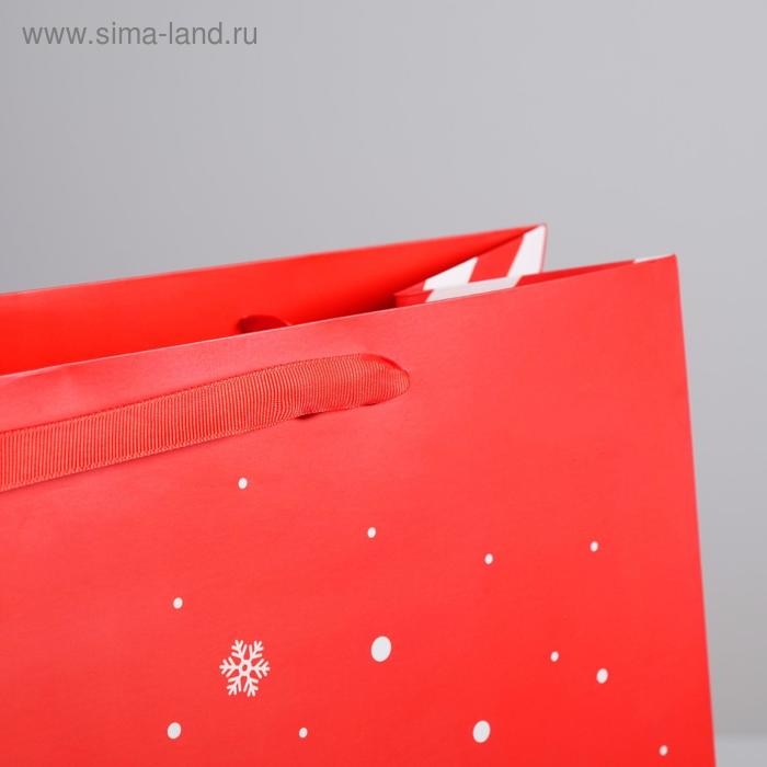Пакет подарочный новогодний ламинированный «Подарок от Деда Мороза», XL 40 х 49 х 19 см, Новый год Пакет подарочный новогодний ламинированный «Подарок от Деда Мороза», XL 40 х 49 х 19 см, Новый год