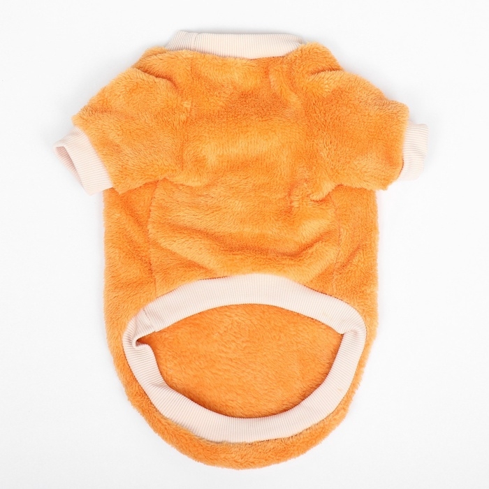 Свитер Свитер "Мандарин", велюр, размер L (ДС 35, ОШ 30, ОГ 45 см), оранжевый