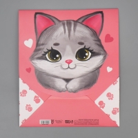 Пакет подарочный с формовым клапаном, упаковка, &laquo;Котик&raquo;, 23 х 27 х 11.5 см