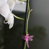 Клипса для растений «Стрекоза», набор 10 шт., МИКС, Greengo Клипса для растений «Стрекоза», набор 10 шт., МИКС, Greengo