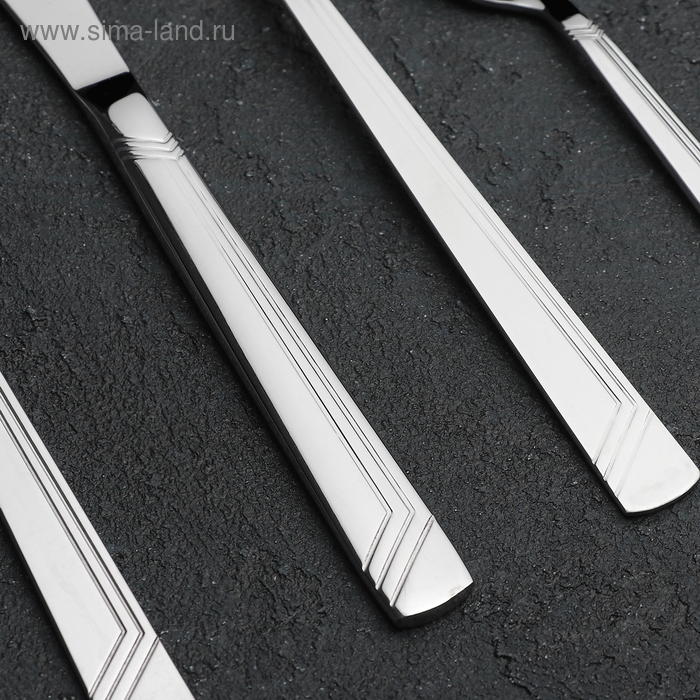 Набор столовый «Аппетит», 48 предметов, толщина 2 мм, декоративная коробка Набор столовый «Аппетит», 48 предметов, толщина 2 мм, декоративная коробка