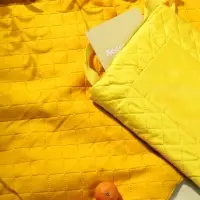 Плед для пикника Soft & Dry, желтый