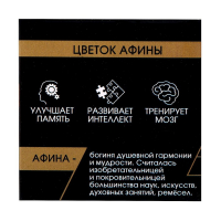 Головоломка деревянная Игры разума &laquo;Цветок Афины&raquo;