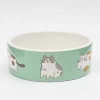 Миска керамическая "Котяры" 300 мл 12,5 x 4,5 cм, бело-зелёная Миска керамическая "Котяры" 300 мл 12,5 x 4,5 cм, бело-зелёная